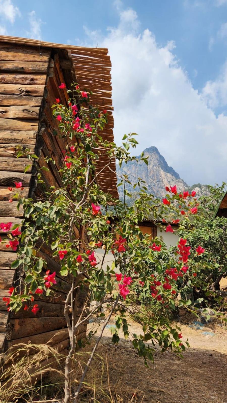 Bed & Breakfast Kabak Nova Camp Bungalovs Fethiye